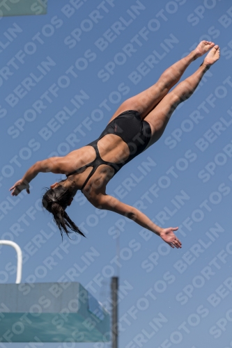 2017 - 8. Sofia Diving Cup 2017 - 8. Sofia Diving Cup 03012_10030.jpg