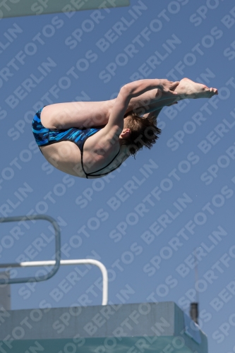 2017 - 8. Sofia Diving Cup 2017 - 8. Sofia Diving Cup 03012_10035.jpg