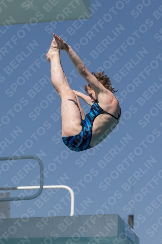 2017 - 8. Sofia Diving Cup 2017 - 8. Sofia Diving Cup 03012_10037.jpg