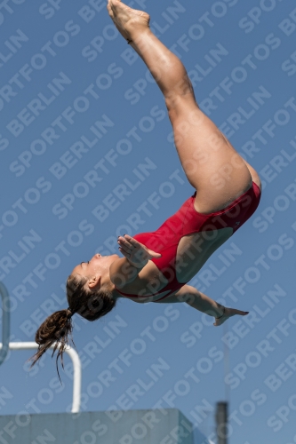 2017 - 8. Sofia Diving Cup 2017 - 8. Sofia Diving Cup 03012_10053.jpg