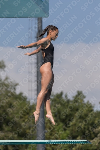 2017 - 8. Sofia Diving Cup 2017 - 8. Sofia Diving Cup 03012_10061.jpg