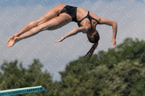 2017 - 8. Sofia Diving Cup 2017 - 8. Sofia Diving Cup 03012_10063.jpg