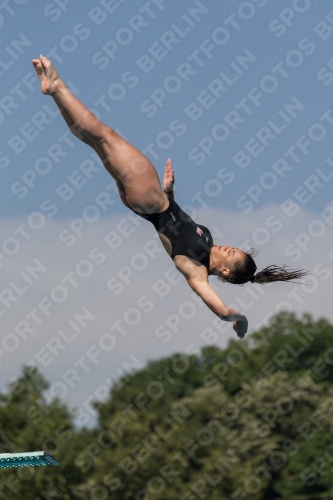 2017 - 8. Sofia Diving Cup 2017 - 8. Sofia Diving Cup 03012_10064.jpg