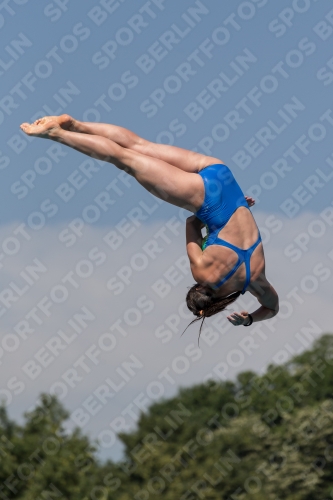 2017 - 8. Sofia Diving Cup 2017 - 8. Sofia Diving Cup 03012_10076.jpg