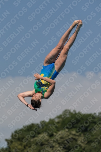 2017 - 8. Sofia Diving Cup 2017 - 8. Sofia Diving Cup 03012_10079.jpg