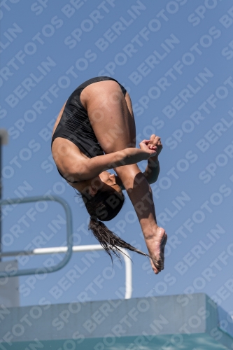 2017 - 8. Sofia Diving Cup 2017 - 8. Sofia Diving Cup 03012_10082.jpg