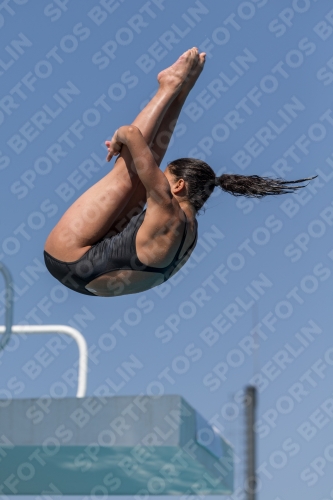 2017 - 8. Sofia Diving Cup 2017 - 8. Sofia Diving Cup 03012_10085.jpg