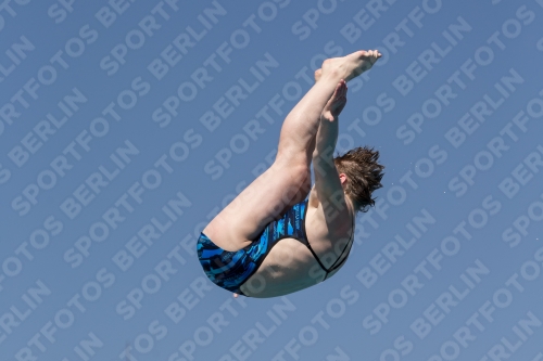 2017 - 8. Sofia Diving Cup 2017 - 8. Sofia Diving Cup 03012_10093.jpg