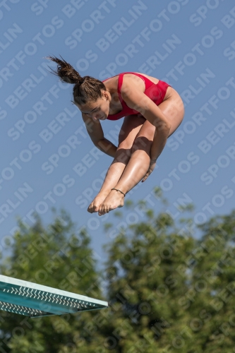 2017 - 8. Sofia Diving Cup 2017 - 8. Sofia Diving Cup 03012_10112.jpg