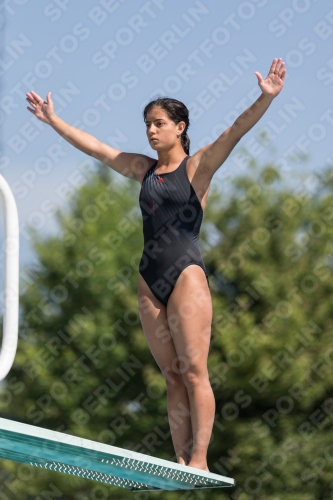 2017 - 8. Sofia Diving Cup 2017 - 8. Sofia Diving Cup 03012_10121.jpg