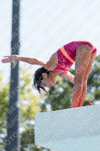 2017 - 8. Sofia Diving Cup 2017 - 8. Sofia Diving Cup 03012_10312.jpg