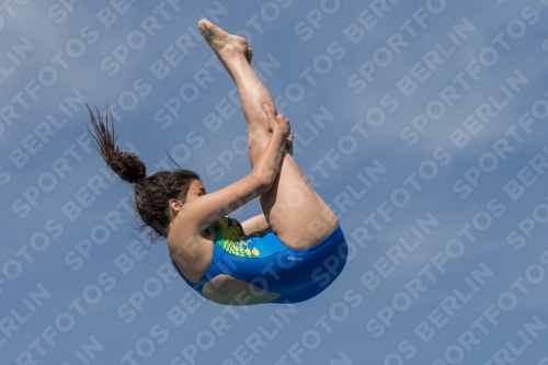 2017 - 8. Sofia Diving Cup 2017 - 8. Sofia Diving Cup 03012_10464.jpg