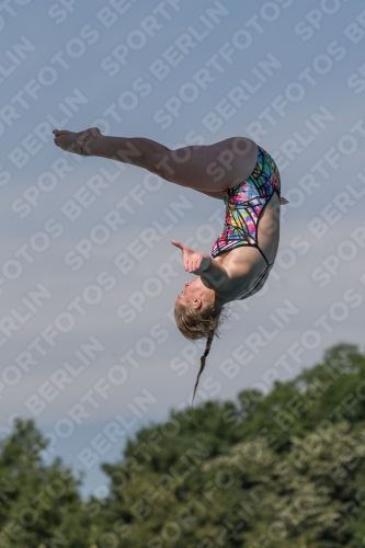 2017 - 8. Sofia Diving Cup 2017 - 8. Sofia Diving Cup 03012_10470.jpg