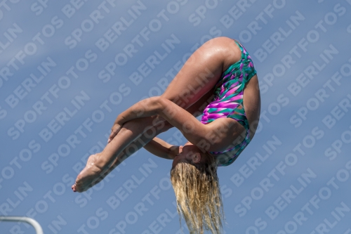 2017 - 8. Sofia Diving Cup 2017 - 8. Sofia Diving Cup 03012_10474.jpg
