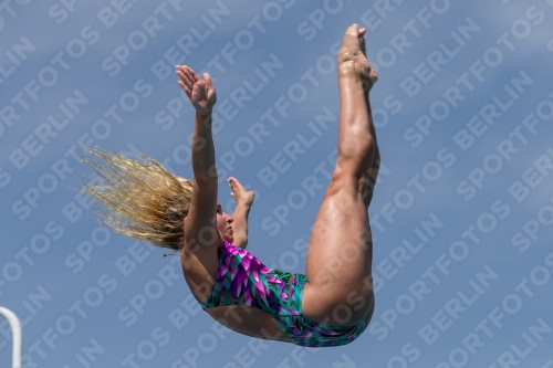 2017 - 8. Sofia Diving Cup 2017 - 8. Sofia Diving Cup 03012_10476.jpg