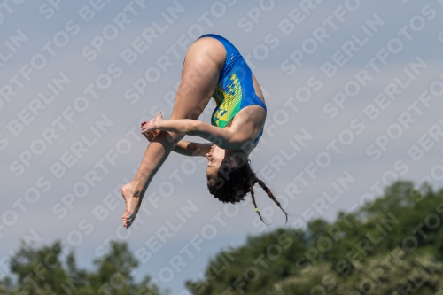 2017 - 8. Sofia Diving Cup 2017 - 8. Sofia Diving Cup 03012_10477.jpg