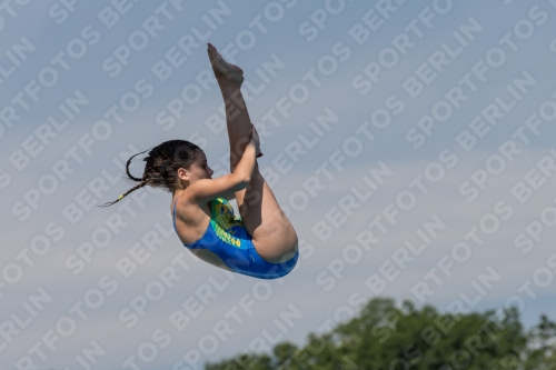 2017 - 8. Sofia Diving Cup 2017 - 8. Sofia Diving Cup 03012_10480.jpg