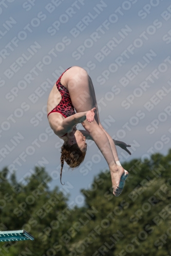 2017 - 8. Sofia Diving Cup 2017 - 8. Sofia Diving Cup 03012_10488.jpg