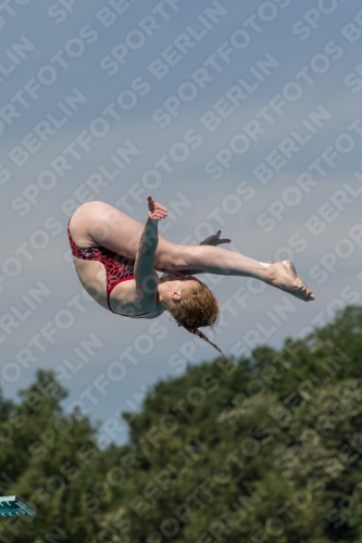 2017 - 8. Sofia Diving Cup 2017 - 8. Sofia Diving Cup 03012_10489.jpg