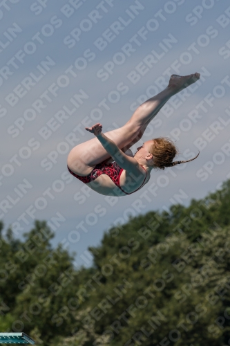 2017 - 8. Sofia Diving Cup 2017 - 8. Sofia Diving Cup 03012_10490.jpg