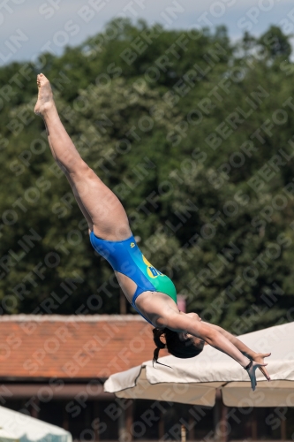 2017 - 8. Sofia Diving Cup 2017 - 8. Sofia Diving Cup 03012_10496.jpg