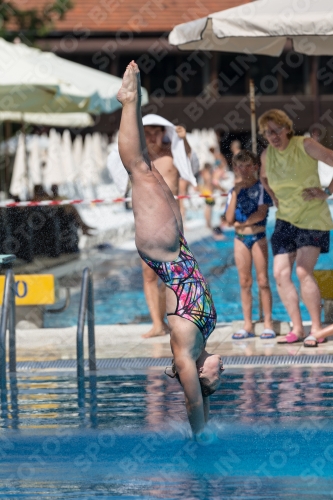 2017 - 8. Sofia Diving Cup 2017 - 8. Sofia Diving Cup 03012_10526.jpg