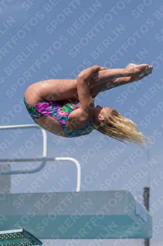 2017 - 8. Sofia Diving Cup 2017 - 8. Sofia Diving Cup 03012_10531.jpg