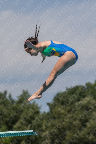 2017 - 8. Sofia Diving Cup 2017 - 8. Sofia Diving Cup 03012_10536.jpg