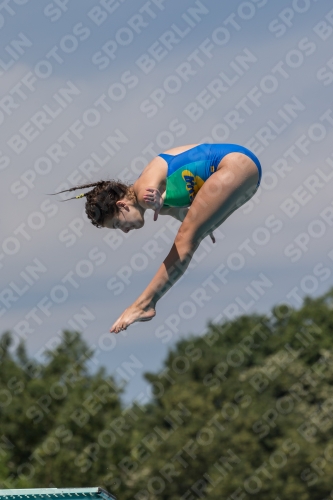 2017 - 8. Sofia Diving Cup 2017 - 8. Sofia Diving Cup 03012_10537.jpg