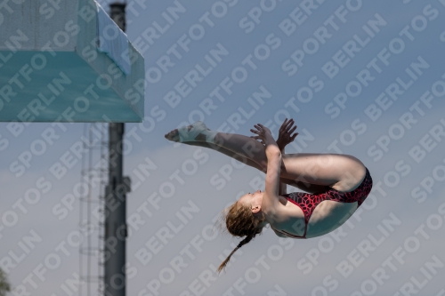 2017 - 8. Sofia Diving Cup 2017 - 8. Sofia Diving Cup 03012_10553.jpg