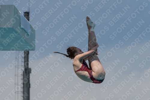 2017 - 8. Sofia Diving Cup 2017 - 8. Sofia Diving Cup 03012_10554.jpg