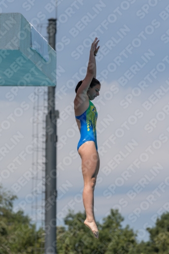 2017 - 8. Sofia Diving Cup 2017 - 8. Sofia Diving Cup 03012_10561.jpg