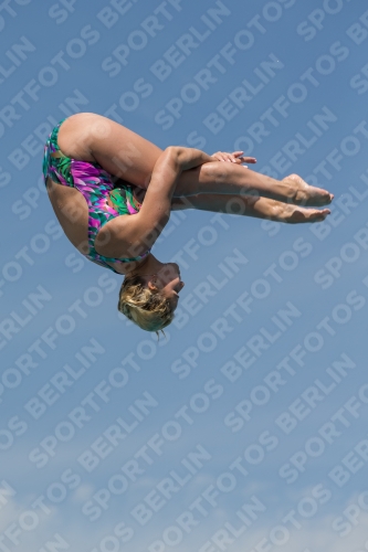 2017 - 8. Sofia Diving Cup 2017 - 8. Sofia Diving Cup 03012_10596.jpg