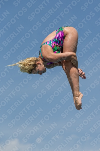 2017 - 8. Sofia Diving Cup 2017 - 8. Sofia Diving Cup 03012_10597.jpg