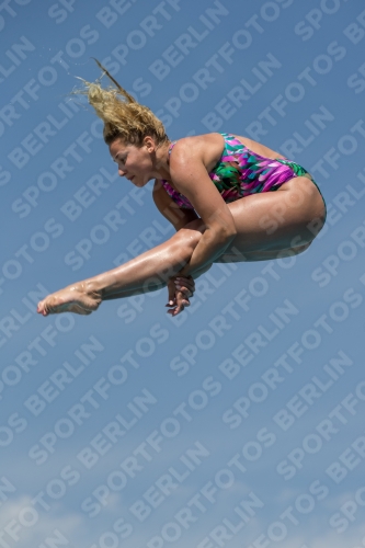 2017 - 8. Sofia Diving Cup 2017 - 8. Sofia Diving Cup 03012_10598.jpg
