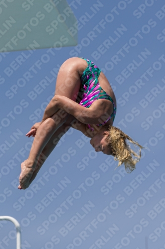 2017 - 8. Sofia Diving Cup 2017 - 8. Sofia Diving Cup 03012_10629.jpg