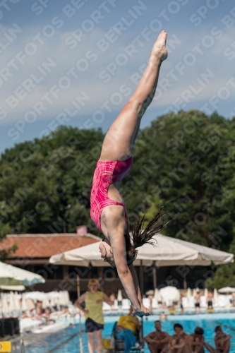 2017 - 8. Sofia Diving Cup 2017 - 8. Sofia Diving Cup 03012_10635.jpg