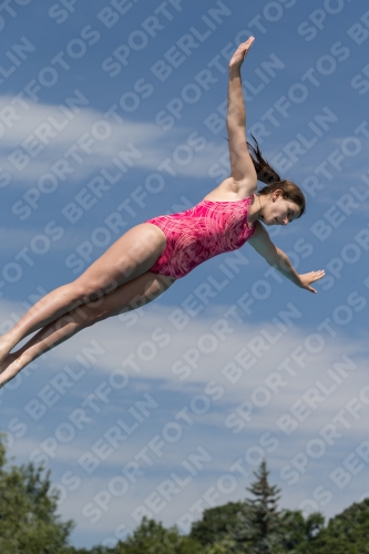 2017 - 8. Sofia Diving Cup 2017 - 8. Sofia Diving Cup 03012_10680.jpg