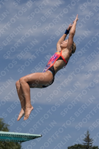 2017 - 8. Sofia Diving Cup 2017 - 8. Sofia Diving Cup 03012_10837.jpg