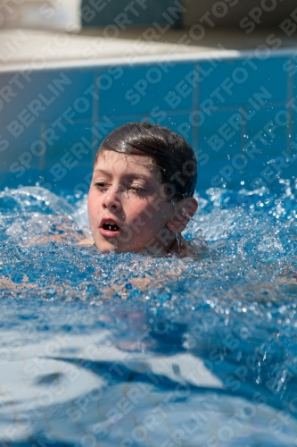 2017 - 8. Sofia Diving Cup 2017 - 8. Sofia Diving Cup 03012_10865.jpg