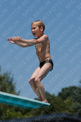 2017 - 8. Sofia Diving Cup 2017 - 8. Sofia Diving Cup 03012_10895.jpg