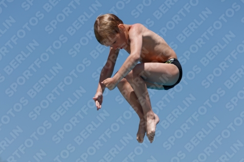 2017 - 8. Sofia Diving Cup 2017 - 8. Sofia Diving Cup 03012_10897.jpg