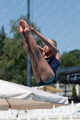 2017 - 8. Sofia Diving Cup 2017 - 8. Sofia Diving Cup 03012_10956.jpg