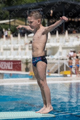 2017 - 8. Sofia Diving Cup 2017 - 8. Sofia Diving Cup 03012_10965.jpg