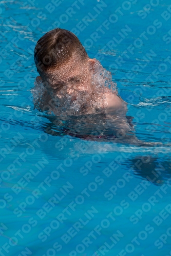 2017 - 8. Sofia Diving Cup 2017 - 8. Sofia Diving Cup 03012_10973.jpg