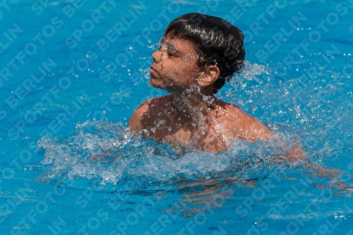 2017 - 8. Sofia Diving Cup 2017 - 8. Sofia Diving Cup 03012_11001.jpg