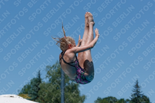 2017 - 8. Sofia Diving Cup 2017 - 8. Sofia Diving Cup 03012_11004.jpg