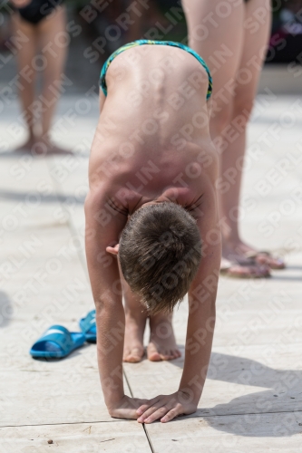 2017 - 8. Sofia Diving Cup 2017 - 8. Sofia Diving Cup 03012_11026.jpg