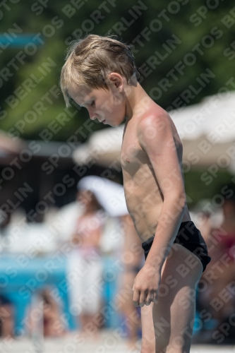 2017 - 8. Sofia Diving Cup 2017 - 8. Sofia Diving Cup 03012_11120.jpg