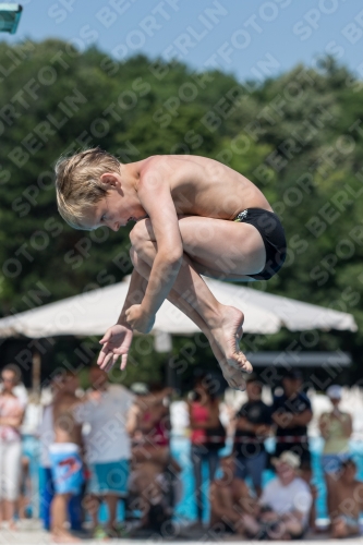2017 - 8. Sofia Diving Cup 2017 - 8. Sofia Diving Cup 03012_11123.jpg